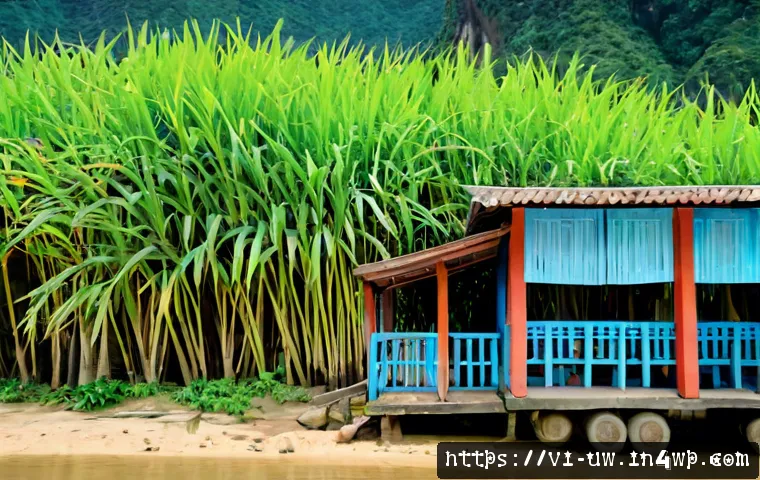 Các phong cách viết giúp diễn đạt thuyết phục hơn: cách chọn theo mục tiêu và người đọc 4 표현력 강화를 위한 다양한 글쓰기 스타일 관련 이미지 2